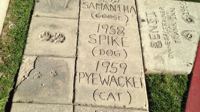 Animal Walk of Fame