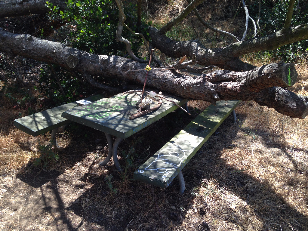 picnic table haunted griffith park horny chasing ghosts legends urban check