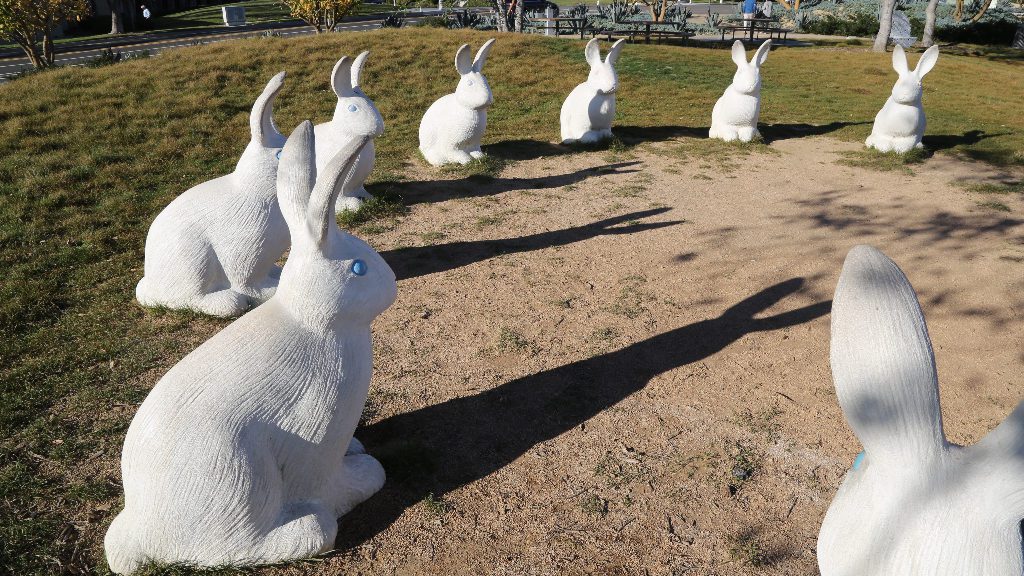 Bunnyhenge California Curiosities