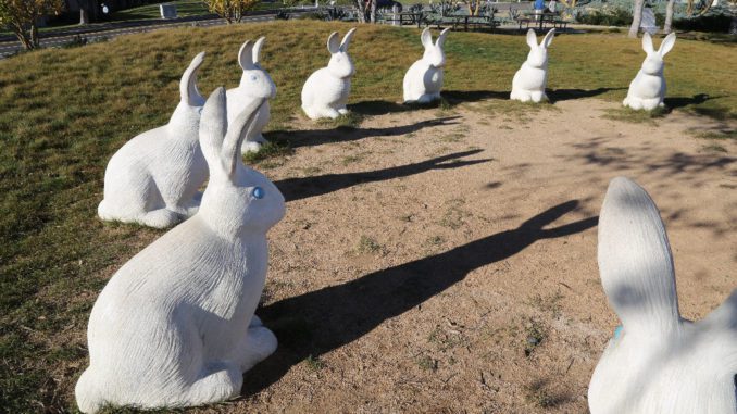 bunnyhenge-circle2