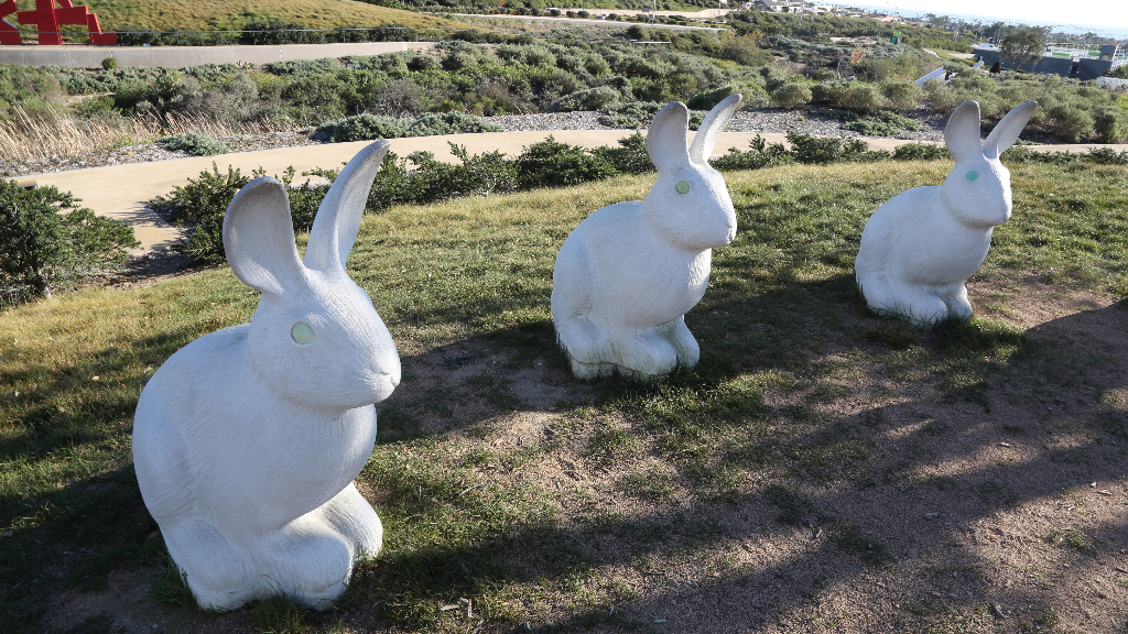 Bunnyhenge California Curiosities