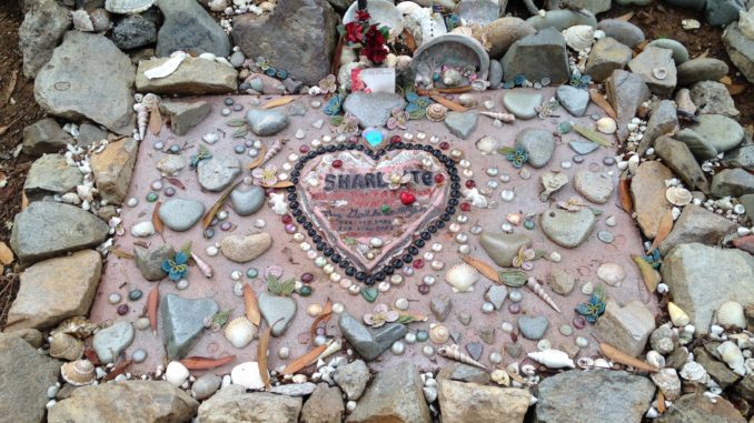 decgrave_Catalinapetcemetery