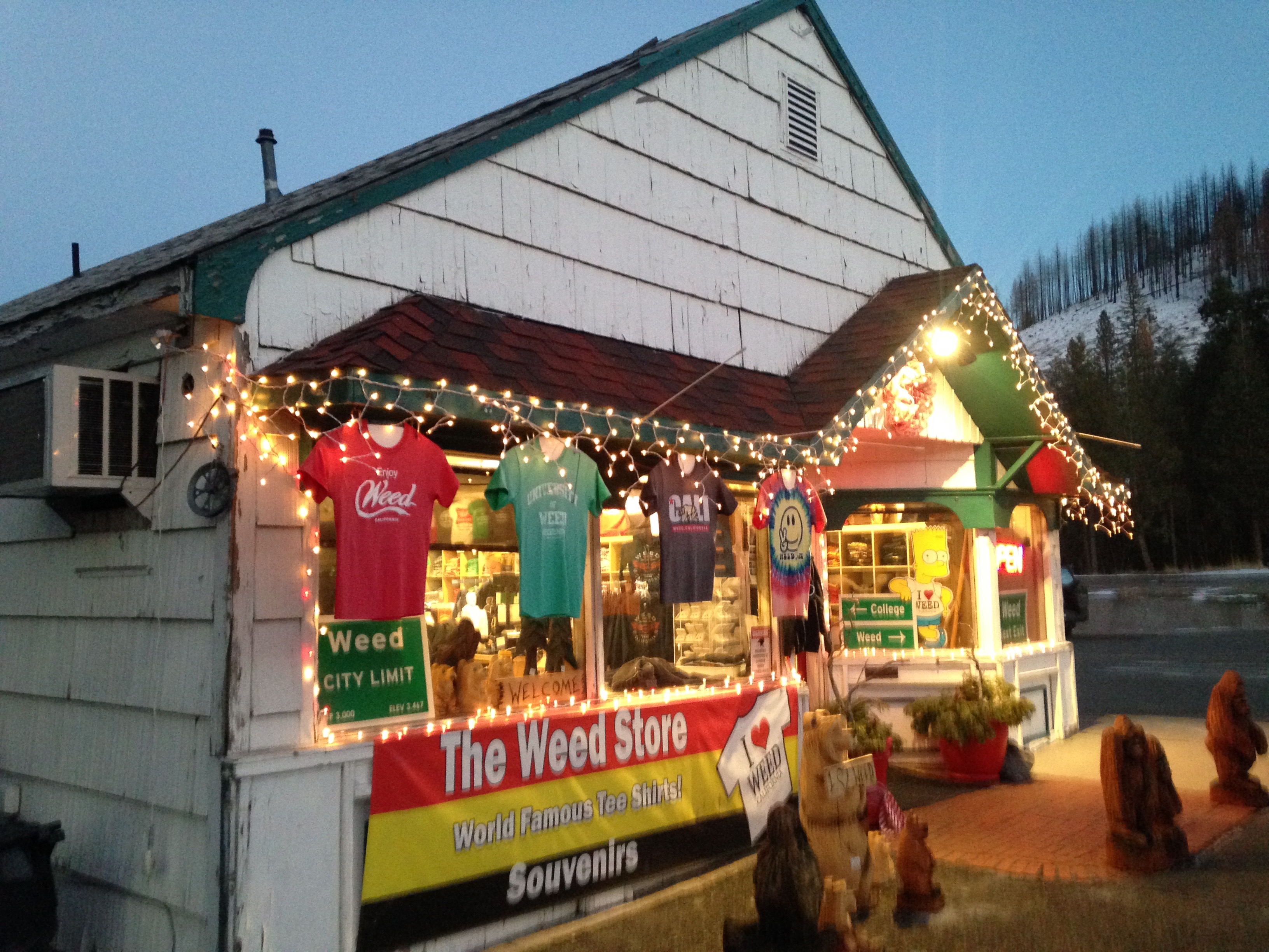 The Weed Store | California Curiosities